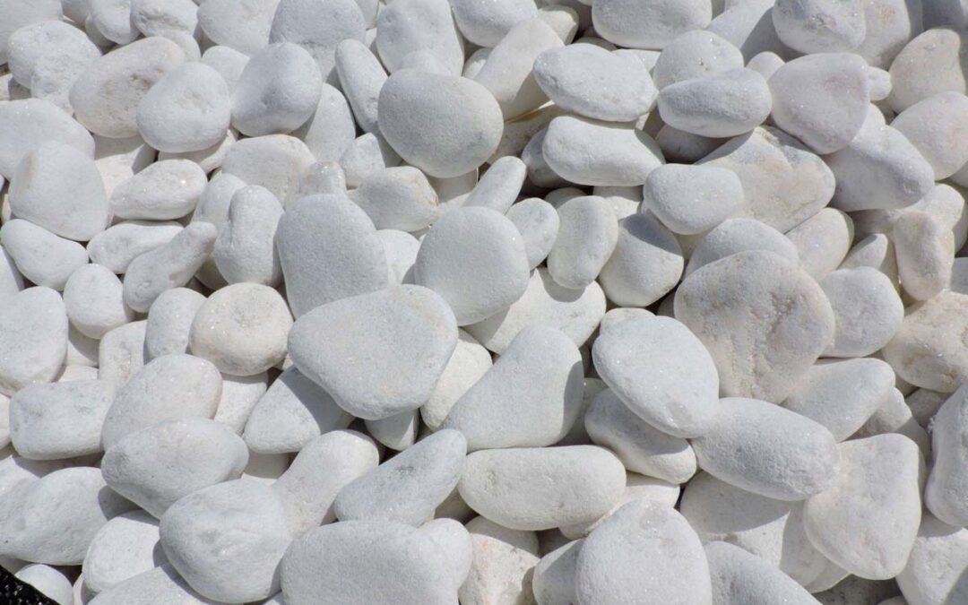 BLANCO MACAEL